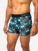 Wolf and Moon - Mens Fitted Trunks - Dedoles